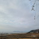 바다애펜션민박 | 노을빛바다애글램핑(노을5) 후기