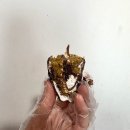 피에스마케팅 | 팔레트디저트 2탄)두바이수건케이크 후기, 쫀득쿠키 만들기, 피에스 더현대 팝업