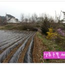 정경농장 Daum카페