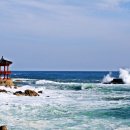 동해동물병원 이미지