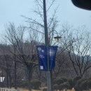 서울회관 | 서울대학교 교수회관 결혼식 하객 참석 후기 (주차, 식사, 아이동반)