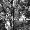 김작가