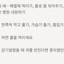 배*열 이미지