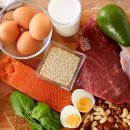 라니피트니스 이미지