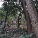 노송황토민박 이미지