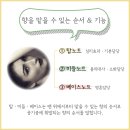 퀸 아로마 테라피 이미지