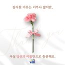 용두태권도스쿨 이미지