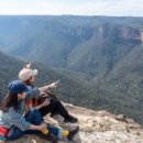 블루마운틴 이미지