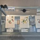 [서울/성동구] 성수 LCDC : 한아조, 글월, 셀렉트마우어, 오이뮤 방문후기 🍀