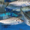 청해 SEAFOOD 이미지