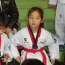 예인체육관 이미지