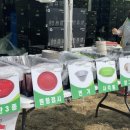 광양매화문화관 | 2025 광양 매화축제 방문 후기 3월 8일 개화 상황 매화축제 개화율 10% 미만