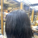 모리프(MOLIF)