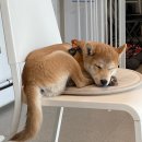 워시랜드 이미지