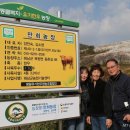 웃소농장 이미지