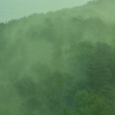 송화고시원 네이버블로그