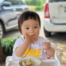 양평양떼목장 이미지