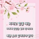 엘리트님~ 이미지