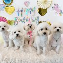 넌나의가족 이미지