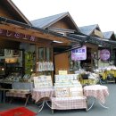 월드허브 이미지