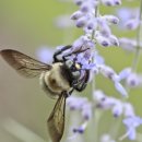 다선한의원 이미지