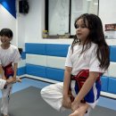 번개태권도 이미지