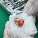 서울더편한치과의원 이미지