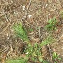 샘모루초등학교 이미지