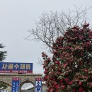 대천해수욕장 제1망루 | 블루리본 13개 받은 대천해수욕장 근처 숨겨진 보령 현지인 찐맛집 김가네사골수제비 | 내돈내산 솔직후기