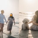 옹스냅 이미지