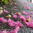 동암차돌학교 이미지