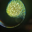 제이스튜 이미지