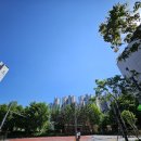 도그랑힐스 이미지