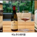 베스트비노 이미지