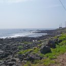 콘테이너목장 이미지