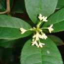 계화농장 이미지