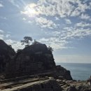 바람의언덕 이미지