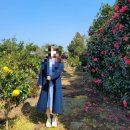 해미2농장 이미지