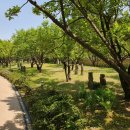 호암미술관 이미지