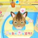 멍냥 동물병원 이미지