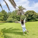 일출랜드 식물원 | 제주가볼만한곳 일출랜드 방문자 찐 후기