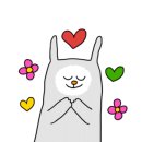 디브라운커피