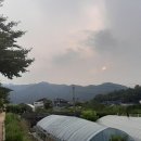 박재현 컨설팅 행정사사무소 이미지