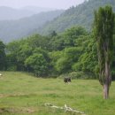 베스트농장 이미지