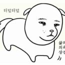 아이들 동물병원 이미지