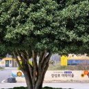 장북보건지소 이미지