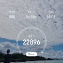 서림채