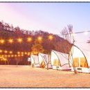 더봄캠프