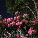 성곡로57번길 이미지