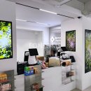 뉴삼성약국 이미지